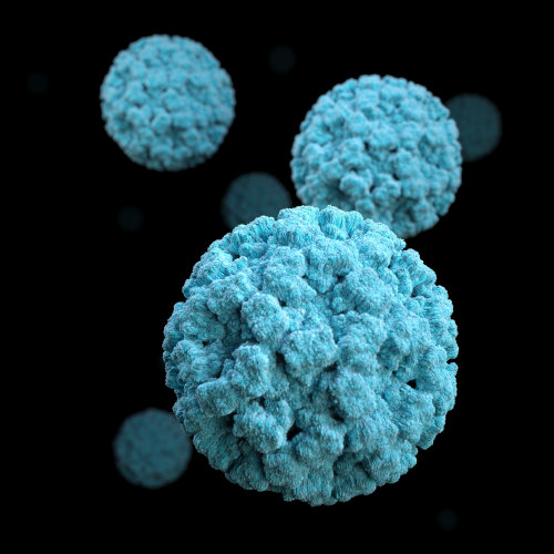 Native Antigen Company expands range of norovirus-like particles