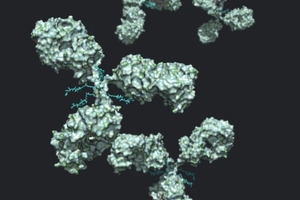 Navigating CMC challenges in NBE and therapeutic antibody development