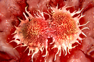 NCEs target cancer 