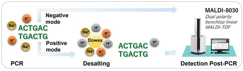 Negative mode analysis of synthetic oligonucleotides