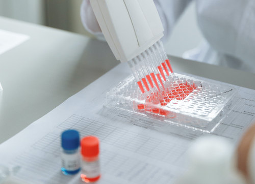 NeoCura and PhoreMost announce collaboration on cancer therapeutics