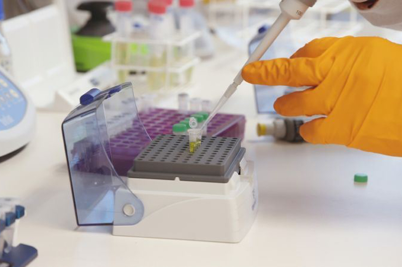 Neogap Therapeutics and NorthX Biologics team up to scale novel cancer cell therapy