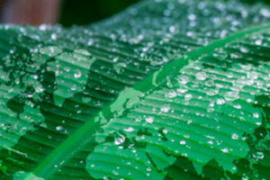 Net zero pharma: six steps for achieving sustainability on site