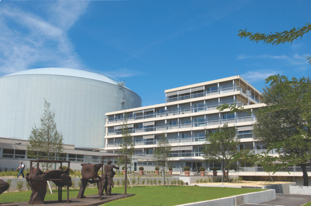 Neutron science provides key insights into drug delivery 