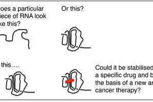 New advance in RNA studies holds out hope for cancer drug development
