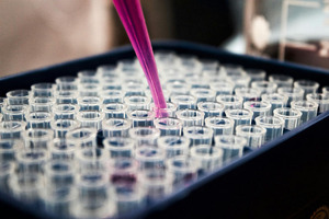 New centres of excellence for regulation announced to accelerate life-saving innovations