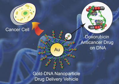 New drug delivery system to improve cancer treatment