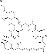<i>Everolimus</i>