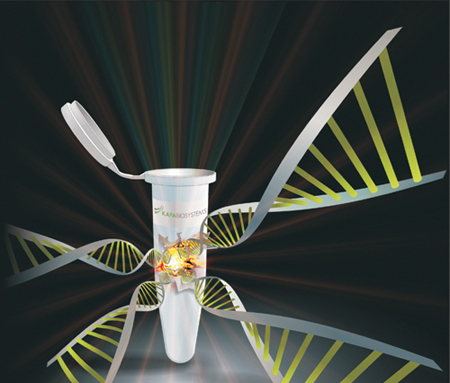 New Kapa Express Extract – from sample to PCR in less than 15 minutes