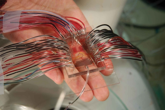 New microchip capable of 1,000 reactions at once