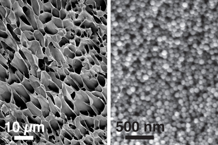 New nanogel for drug delivery
