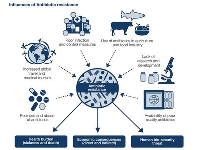 New report reveals how public can save modern medicine