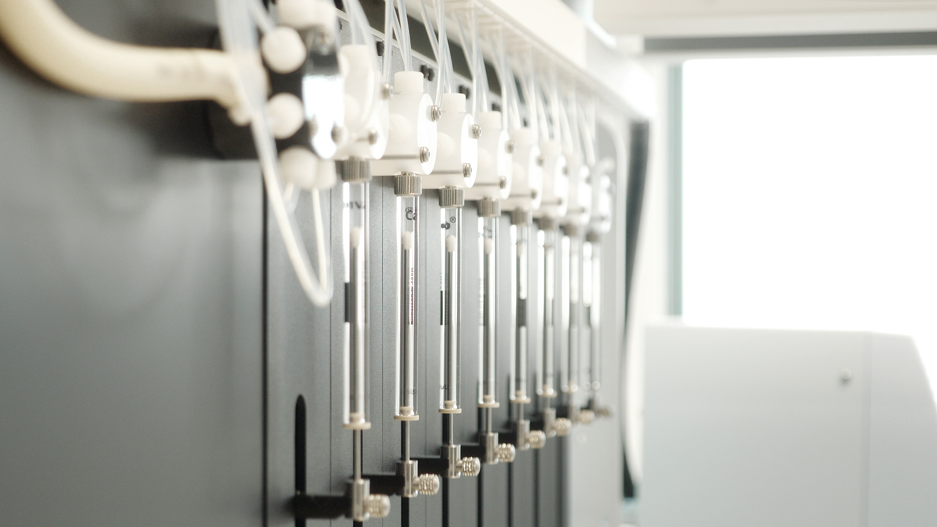 New technology links chronic inflammation to shorter lifespan