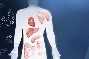 New technology links chronic inflammation to shorter lifespan