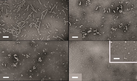 New triggered-release mechanism could improve drug delivery, scientists find