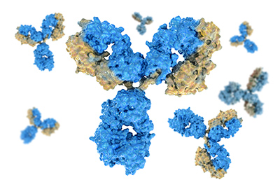 New worldwide exclusive license and collaboration for immuno-oncology therapeutic leads 