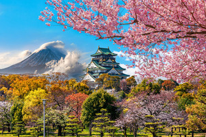 Nicox’s partner Kowa initiates NCX 470 Phase III clinical trial in  Japan