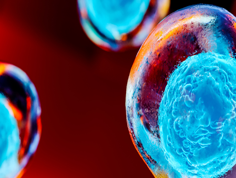 Novartis to fund protein degrader therapy research 