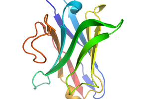 Novel Nanobody to begin clinical development in osteoarthritis