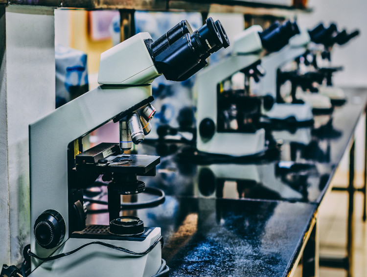 Novo enters research partnership with Flagship Pioneering