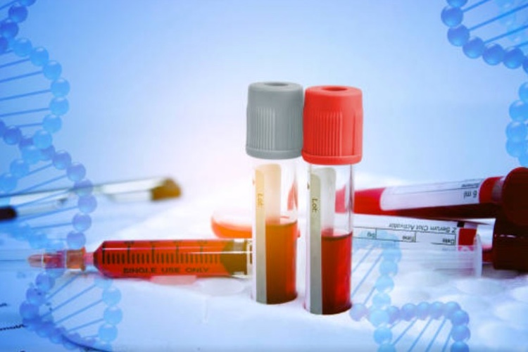 Novo Nordisk seeks regulatory approval