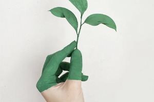 Novozymes and Chr. Hansen join forces to create Novonesis