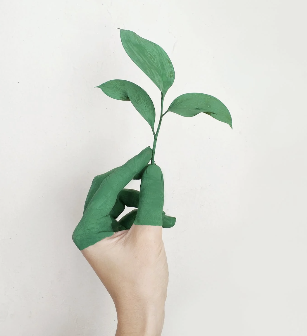 Novozymes and Chr. Hansen join forces to create Novonesis