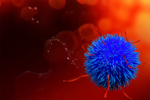 Nuvec nanoparticles successfully target lung cancer cells