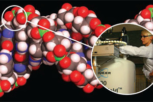 Oligonucleotide Characterisation Services case study