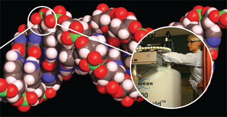 Oligonucleotide Characterisation Services case study