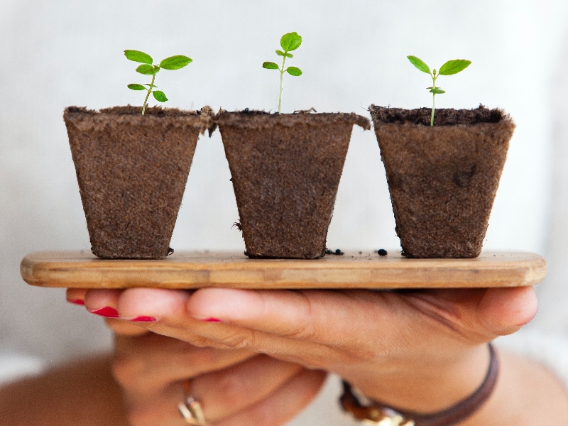 Olon publishes annual sustainability report for 2023