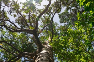 Olon publishes annual sustainability report for 2022