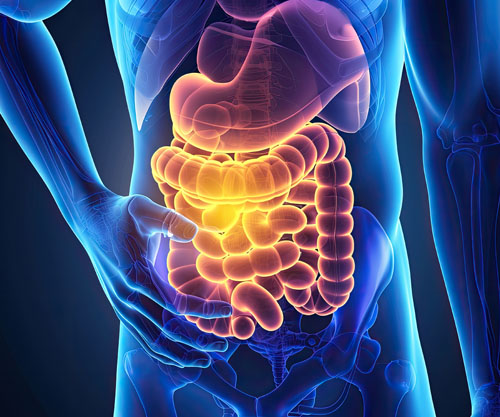 OMass and Genentech to develop and commercialise therapies for inflammatory bowel disease