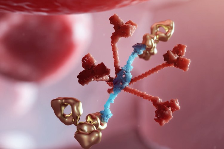 Omeros chooses Lonza to transition from clinical to commercial supply