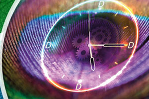 ON-DEMAND WEBINAR: Delivering the added dimension in Scale-up