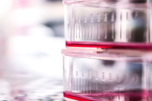 Oncolytic viruses: the key to advancing novel therapies to market