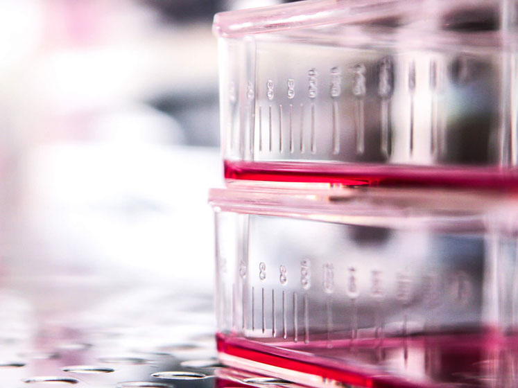 Oncolytic viruses: the key to advancing novel therapies to market