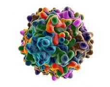 Opportunities to scale AAV viral vector production for gene therapies