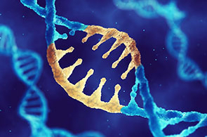 Opportunities to scale AAV viral vector production for gene therapies