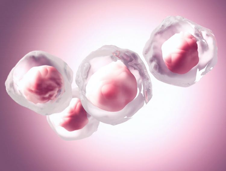 Ori Biotech partners to test novel cell therapy manufacturing platform