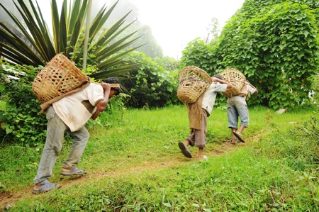 Outsourcing with ethics and sustainability in mind 