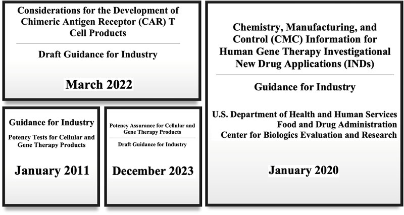 Overcoming CMC challenges in cell and gene therapy: part II