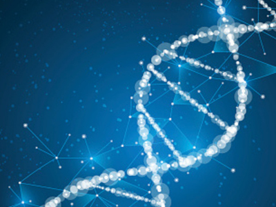 Oxford BioDynamics signs fifth collaboration agreement in immuno-oncology space