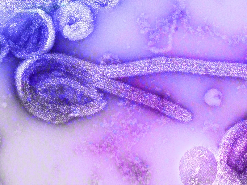 Oxford Ebola vaccine manufactured and shipped to Uganda