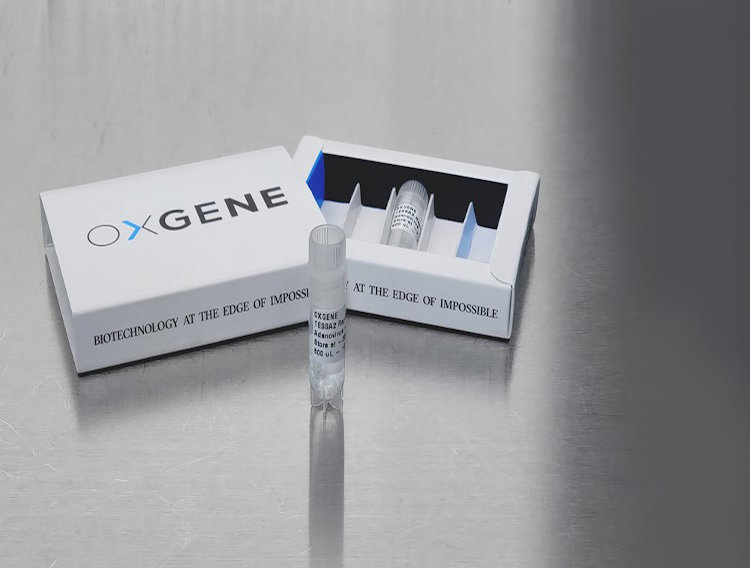 Oxgene introduces TESSA technology for AAV manufacture