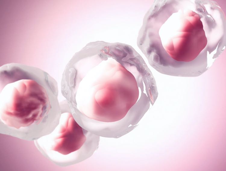 Paper gives step-by-step protocols for induced pluripotent stem cells