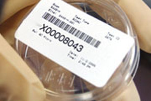 Paperless automated monitoring