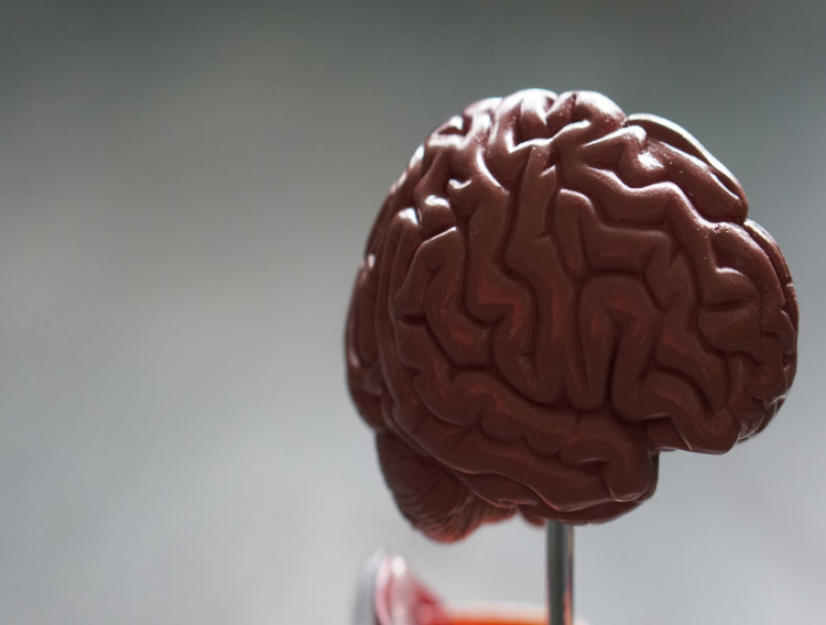 Parkinson’s UK and Domainex collaborate on inflammation therapy