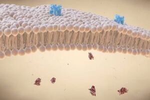 Pathios and Sygnature partner against faulty membrane protein 