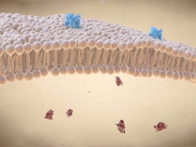 Pathios and Sygnature partner against faulty membrane protein 